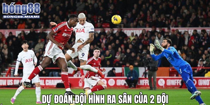Các nhận định dự đoán đội hình ra sân cực chính xác từ chuyên gia