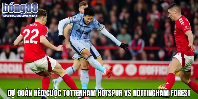 Hàng loạt tỉ lệ kèo cược hấp dẫn khi soi kèo ngoại hạng anh Tottenham hotspur vs Nottingham Forest